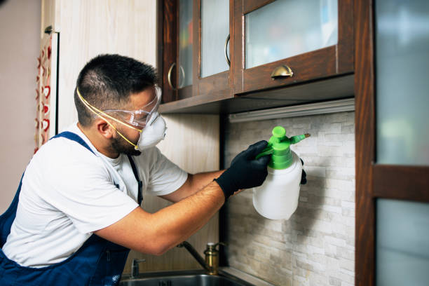 Best Pest Inspection Near Me  in Cohasset, MN