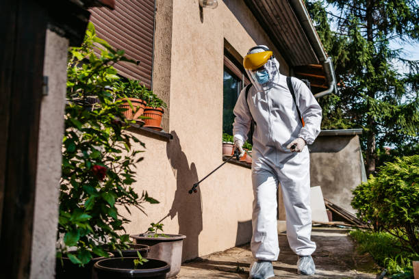 Best Affordable Pest Control Services  in Cohasset, MN