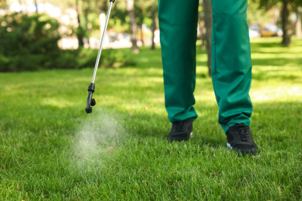 Best Wasp Removal Services  in Cohasset, MN