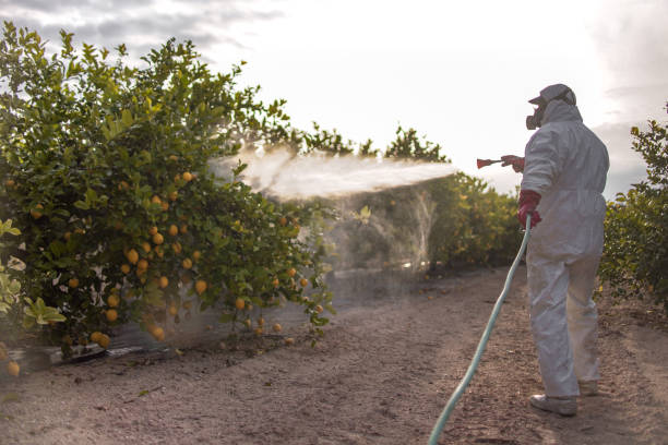 Best Pest Prevention Services  in Cohasset, MN